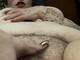 Foto privada de Irish_Girl