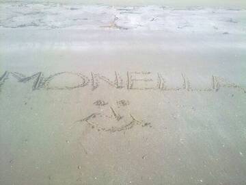 Foto publica de monellaribelle74